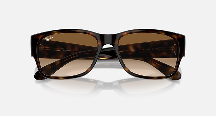 RB4388 Sunglasses in Havana and Clear & Brown (58-18) - RB4388