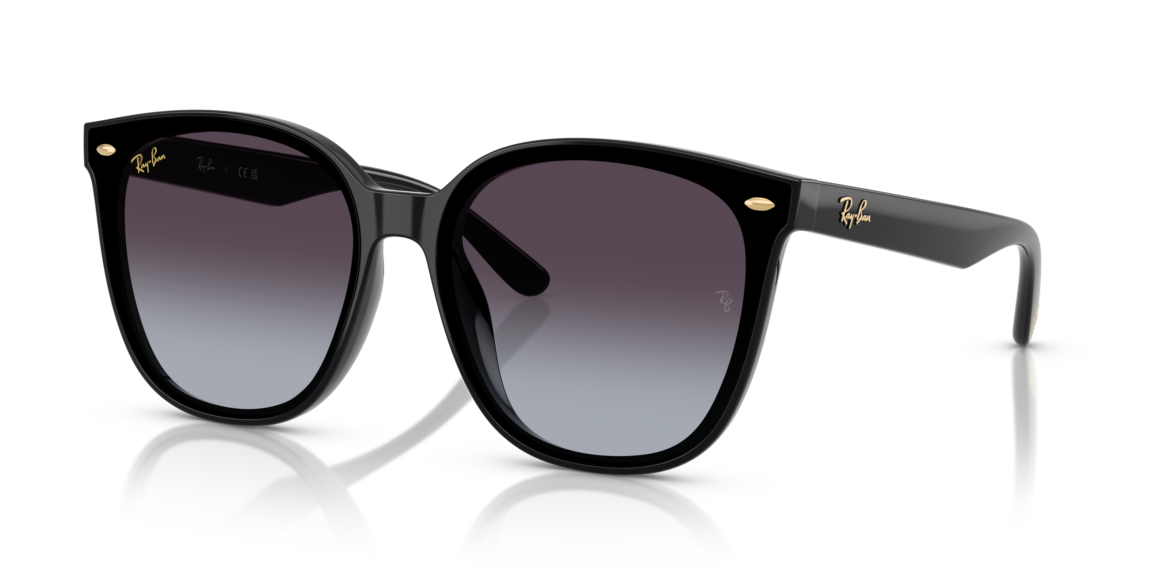 RB4423D YEAR OF THE SNAKE EDITION Sunglasses in Black and Grey
