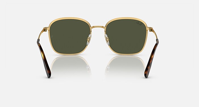 RayBan 巳年ver RB3720 Sunglasses in Arista Gold and Green (55-20) - RB3720 | Ray