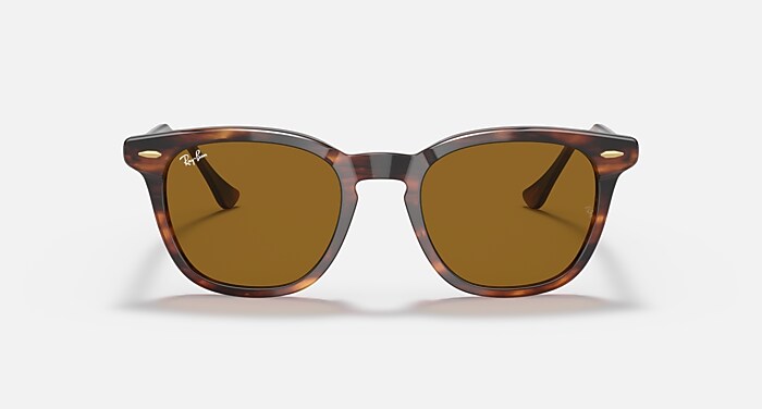 HAWKEYE 搭Transparent Blue 的Brown (54-21) - RB2298F | Ray-Ban®朋