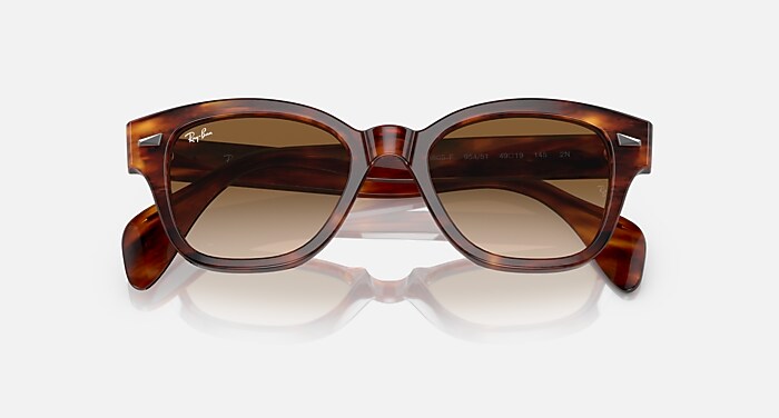 レイバン公式ストア】 Ray-Ban® RB0880S サングラス | ストライプ