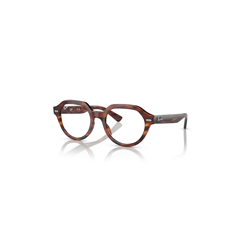 Ray-Ban Eyeglasses  Gina Optics - Striped Havana Frame Clear Lenses Polarized 49-20, RB7214