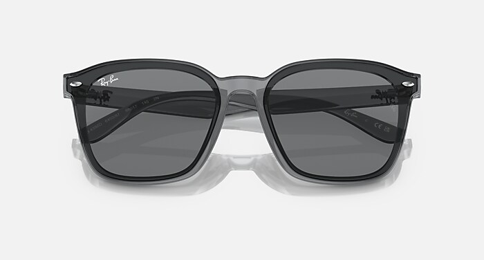 レイバン公式ストア】 Ray-Ban® RB4392D サングラス 