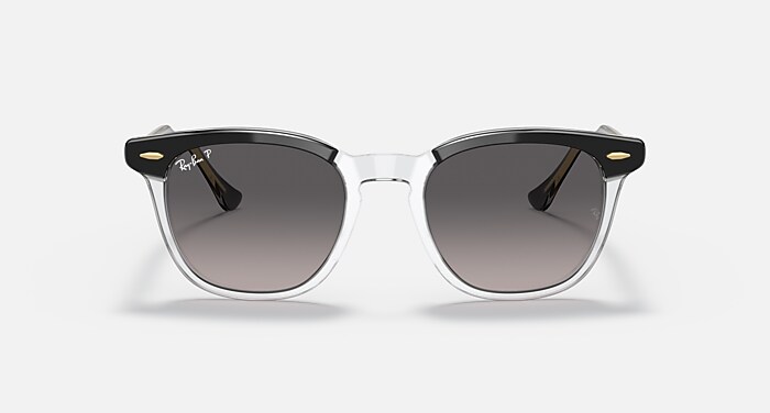 HAWKEYE Polarized Sunglasses in Black On Transparent and Solid