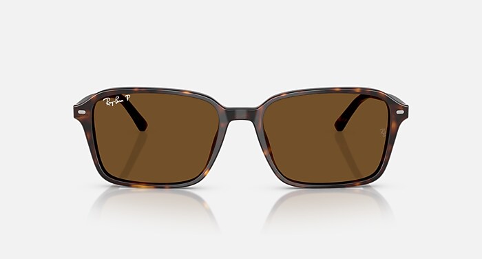 RAIMOND Polarized Sunglasses in Havana and Brown Polarized (56-18