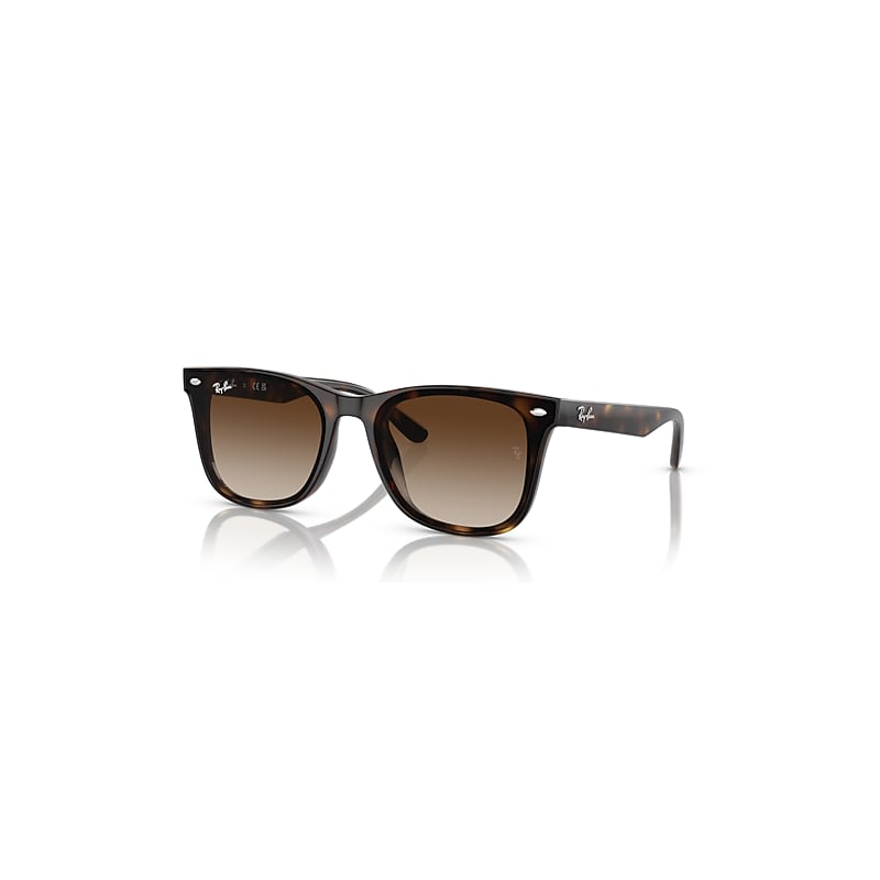 Ray-Ban Brown Sunglasses Rb4420 710/13 Havana Gradient - Image 13