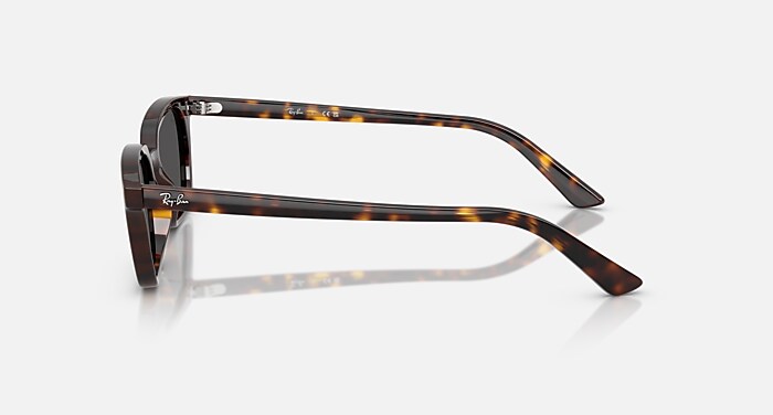 レイバン公式ストア】 Ray-Ban® ZAYA BIO-BASED サングラス | ハバナ X 