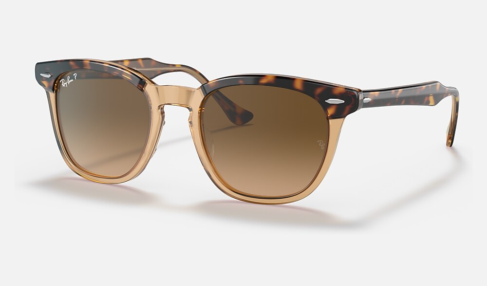レイバン公式ストア】 Ray-Ban® HAWKEYE サングラス | 透明ブラウン上