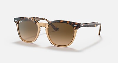 レイバン公式ストア】 Ray-Ban® HAWKEYE サングラス | 透明ブラウン上