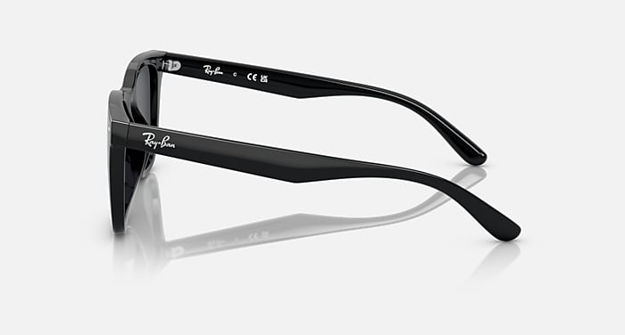 RB4391D Sunglasses in Black and Dark Grey - RB4391D | Ray-Ban® US