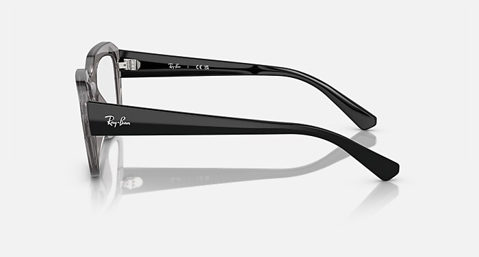LEONID OPTICS BIO-BASED メガネ トランスペアレント グレー と クリア