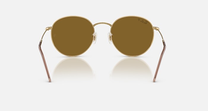 ROUND REVERSE Polarized Sunglasses in Arista Gold and Polarized