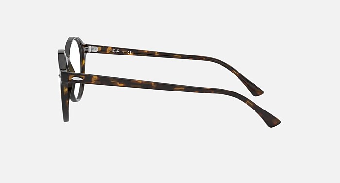 DEAN Eyeglasses with Tortoise and Clear (50-19) - RB7118F | Ray