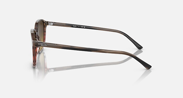 LEONARD Sunglasses in Striped Brown & Red and Brown (53-18