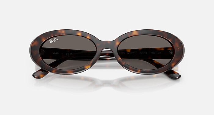 RB2223 Sunglasses in Havana and Dark Grey (54-19) - RB2223 | Ray