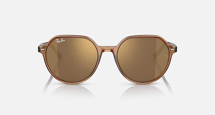 THALIA Sunglasses in Transparent Brown and Gold (51-18) - RB2195