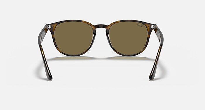 RB4259 Sunglasses in Light Havana and B-15 Brown - RB4259 | Ray