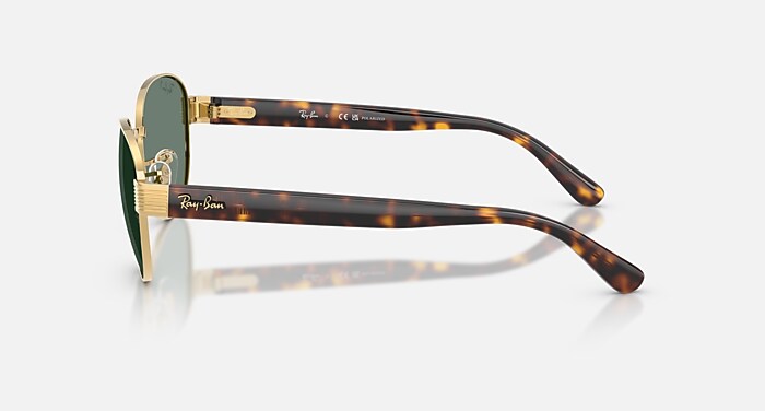 RB3766 POLARIZED+ LENSES Sunglasses in Arista Gold and  display picture 1