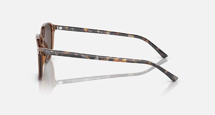 LEONARD Sunglasses in Transparent Brown and Light Brown (55-18