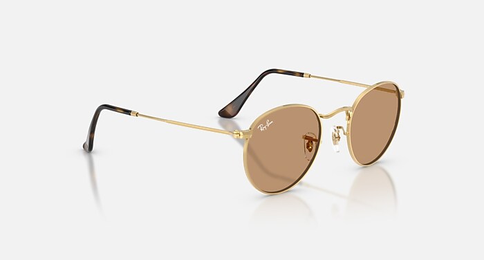 ROUND METAL Sunglasses in Arista and Brown (47-21) - RB3447 | Ray