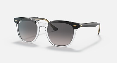 Ray-Ban RB 2208F Hawkeyes サングラス HAWKEYE Sunglasses in Havana On Transparent Brown and Brown
