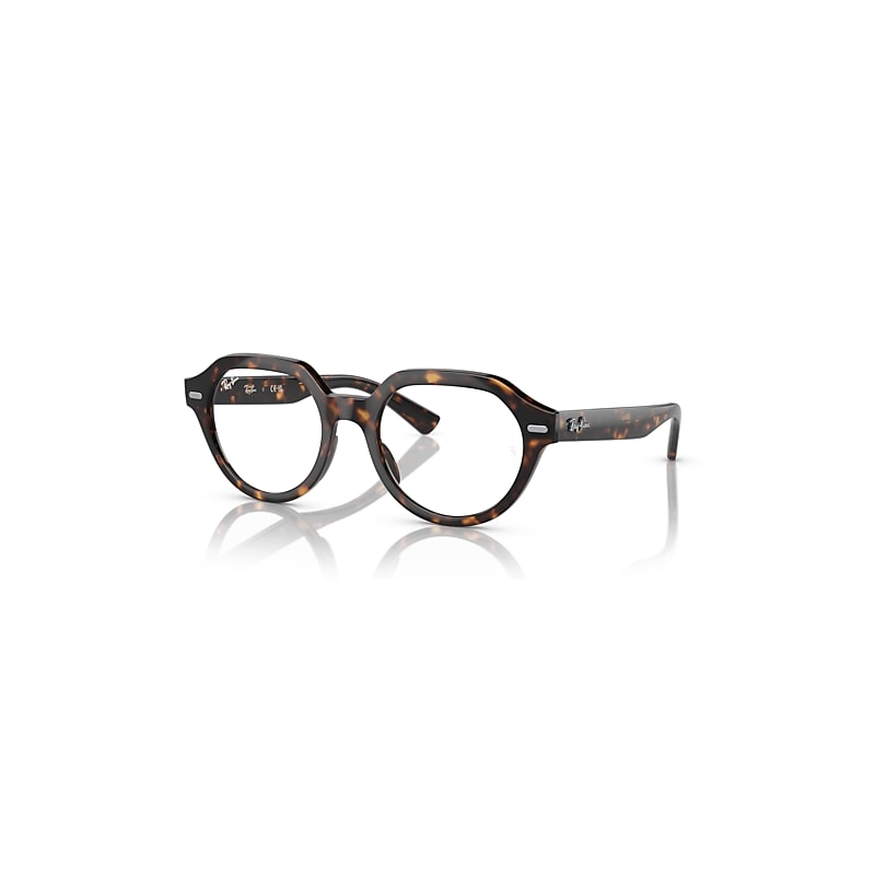 Ray-Ban Eyeglasses  Gina Optics - Havana Frame Clear Lenses Polarized 49-20, RX7214