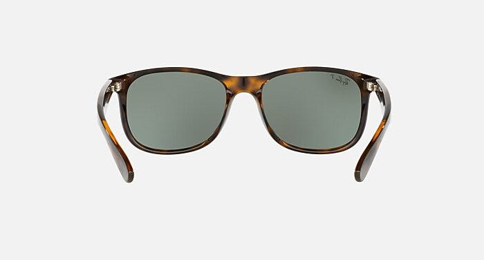 ANDY Polarized Sunglasses in Havana and Silver Polarized (57-17