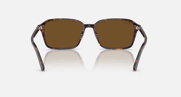 Raimond Polarized Sunglasses in Havana Frame and Brown Polarized
