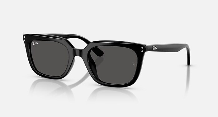 レイバン公式ストア】 Ray-Ban® RB4439D サングラス | ブラック X