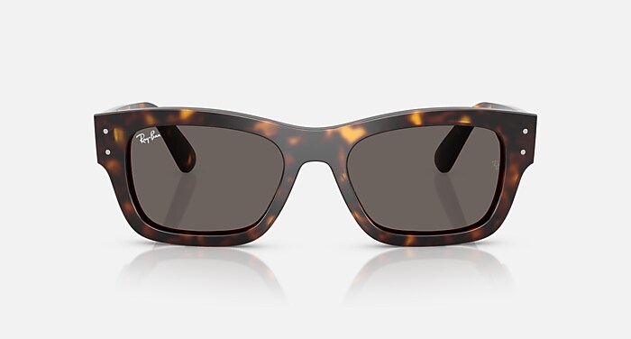 JOSEPH Sunglasses in Havana and Gris oscuro (55-20) - RB7683S