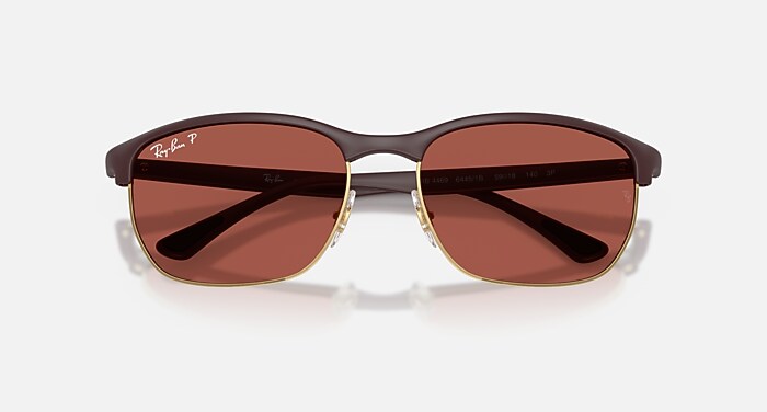 RB4469 POLARIZED S LENSES ポラライズド（偏光） サングラス サンド
