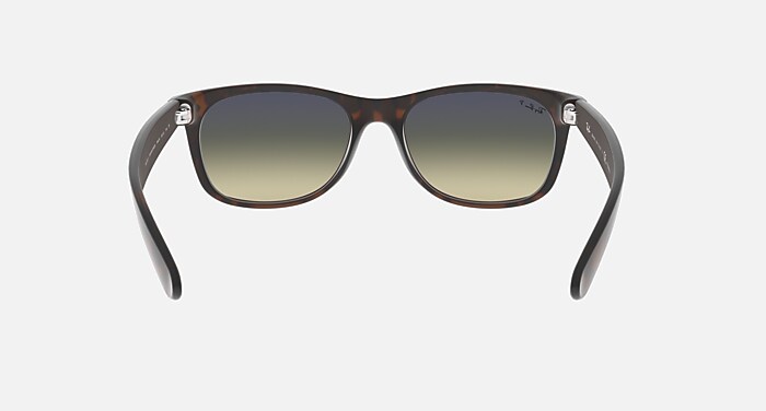 NEW WAYFARER MATTE Polarized Sunglasses in Havana and Polarized