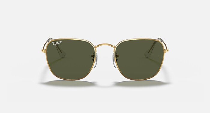 FRANK Sunglasses in Gold and G-15 Green Polarized - RB3857 | Ray