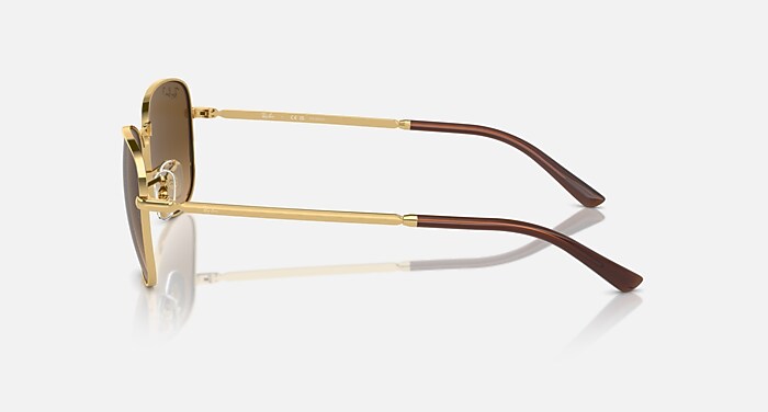 レイバン公式ストア】 Ray-Ban® RB3733 サングラス | アリスタゴールド