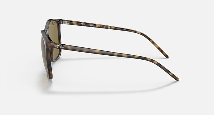 RB4387 Sunglasses in Light Havana and B-15 Brown (56-18) - RB4387