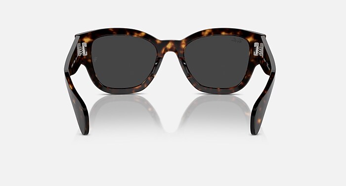 JORGE Sunglasses in Havana and Black Polarized - RB7681SF | Ray