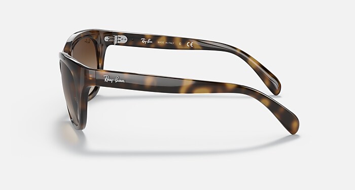 RB4216 Sunglasses in Light Havana and Brown Gradient (56-20