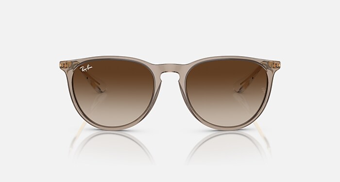 ERIKA CLASSIC Sunglasses in Transparent Light Brown and Brown