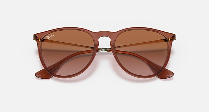 ERIKA CLASSIC Sunglasses in Transparent Light Brown and Gradient