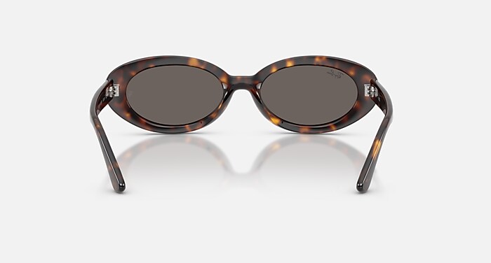 RB2223 Sunglasses in Havana and Dark Grey (54-19) - RB2223F | Ray
