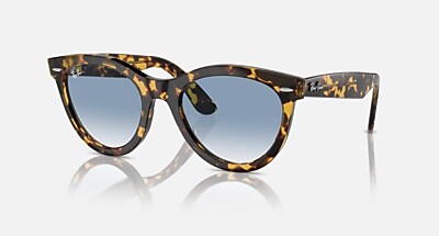 WAYFARER WAY Polarized Sunglasses in Striped Havana and Green