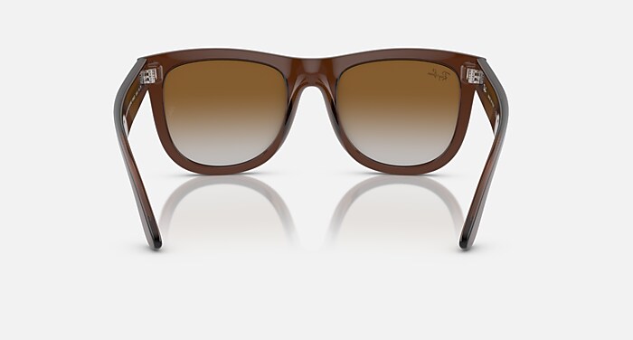 WAYFARER REVERSE Sunglasses in Transparent Brown and Brown 