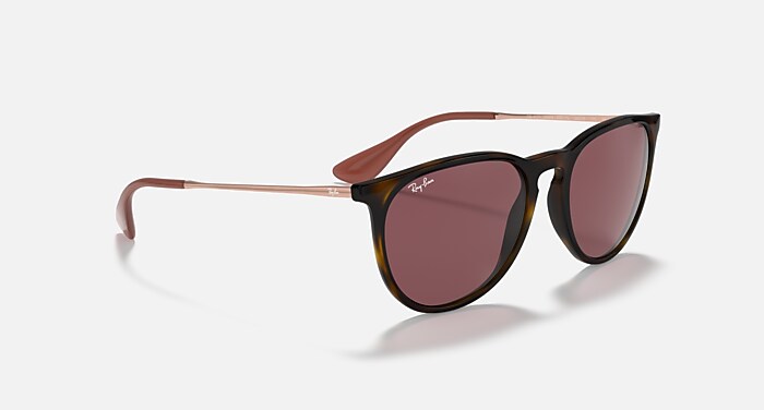 ERIKA COLOR MIX Sunglasses in Havana and Dark Violet (54-18