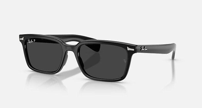 WAYFARER STREET NEAT ポラライズド（偏光） サングラス ブラック上に