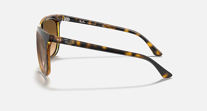 CATS 1000 Sunglasses in Light Havana and Light Brown  display picture 1