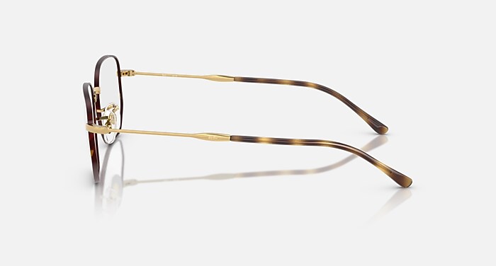 RB6496 OPTICS Eyeglasses with Havana On Arista and Clear (53-20