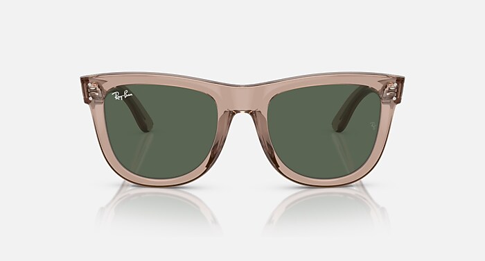 WAYFARER REVERSE Sunglasses in Transparent Light Brown and Dark
