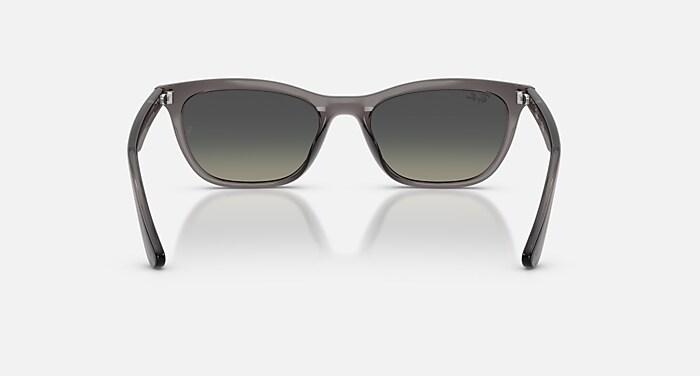 RB4474D Sunglasses in Transparent Dark Grey and Gradient Grey (54