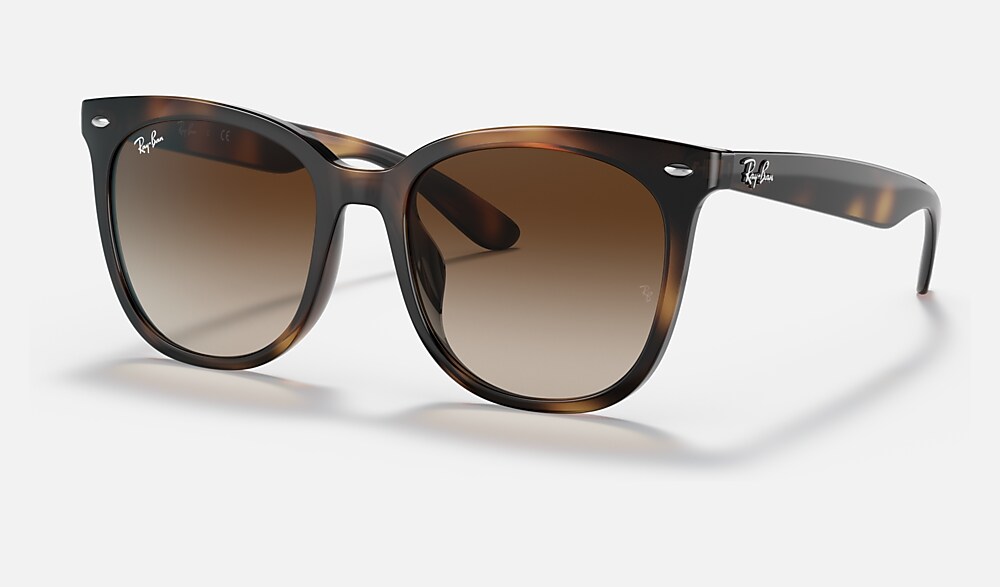 レイバン公式ストア】 Ray-Ban® RB4379D サングラス | ハバナ X 諧調