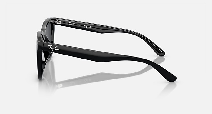 レイバン公式ストア】 Ray-Ban® RB4420 サングラス | ブラック X 
